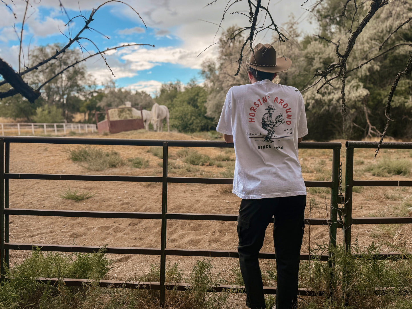 Horsin' Around Tee - Box Fit
